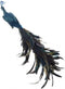 Kurt Adler 18-Inch Decorative Feather Peacock with Clip