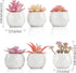 Remittur Set of 6 Artificial Succulents in Ceramic Pots, Pink Fake Succulent Plants for Bedroom Decor, Small Succulents Plants Artificial Fake Plant Decor, Mini Desk Plant for Home Decor (Pink)
