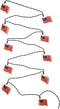 Kurt Adler UL 10-Light USA Flag Light Set