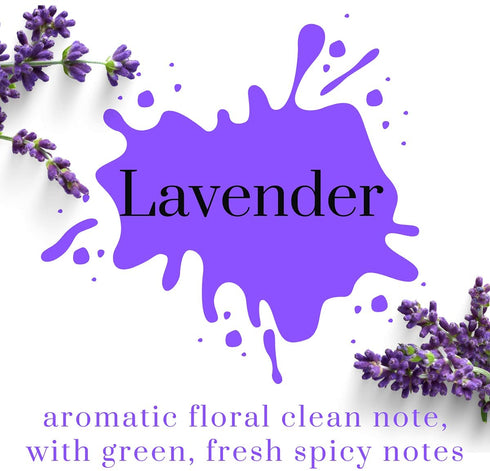 Air Jungles Lavender Scent Reed Diffuser Set with Sticks, Essential Incense Oil Air Freshener for Bathroom, Office, Gym, and Bedroom Fragrance, 3.4 fl. oz