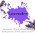 Air Jungles Lavender Scent Reed Diffuser Set with Sticks, Essential Incense Oil Air Freshener for Bathroom, Office, Gym, and Bedroom Fragrance, 3.4 fl. oz