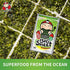 Big Crispy Seaweed Snack Sheets by Tao Kae Noi | Classic Thai Seaweed Chip | Healthy Nori Snacks for Kids and Adults | 12 Individually Wrapped Sheets per Box, 3.2g each