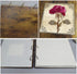 EdenseeLake Dried Flower Photo Album 4x6 Photo Book Holds 500 Photos Horizontal and Vertical