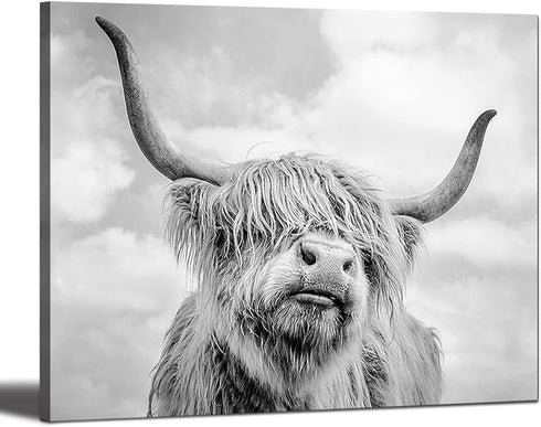 Highland Cow Black and White Canvas Wall Art Animal Print Pictures Highland Cattle Photo Framed Farmhouse Painting 12x16 inches for Home Decor