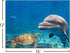 Purple Verbena Art Canvas Print Painting of Sea Turtle Dolphin and Fish Picture Wall Art Underwater World Animal Seascape Photo Artwork Gift for Living Room Bedroom Home Decor-Framed 12x16 Inches