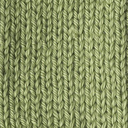 Caron Simply Soft Collection Yarn, 6oz, Gauge 4 Medium, 100% Acrylic- Pistachio - Machine Wash & Dry