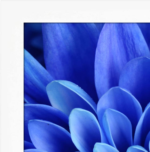 Americanflat A4 Picture Frame in White - Composite Wood with Shatter Resistant Glass - Horizontal and Vertical Formats for Wall and Tabletop - 8.3 x 11.7 in