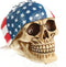 Mary Paxton Skeleton Skull Figurine,American Flag Hood USA Bandanna Human Skull Decor Skeleton Head Sculpture Statue Realistic Decorations Pirate Models Resin Bedroom Crafts Wacky Props Ornament