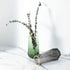 Luxspire Tall Glass Vase for Flowers,Large Clear Vase Morden Ins Style,Crystal Vases Flowers Hand Blown Glass Home Decoration Living Room Office Bathroom Decor,8.7 Inch,Green