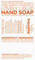 Sapadilla Grapefruit + Bergamot Dish Soap, Hand Soap & Countertop Cleanser, Variety Pack