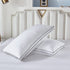 Gehannah Bed Pillows for Sleeping?2 Pack?, Luxury Plush Soft Pillow with Home and Hotel, Breathable Microfiber Cover Skin-Friendly Pillows for Side Back Sleepers (Queen)