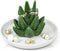 Cactus Ring Holder Succulent Green Ring holder for Jewelry Organizer Ceramic Ring Tray Cute Ring Holder Birthday Wedding Christmas Valentines Housewarming Gifts for Women Girls