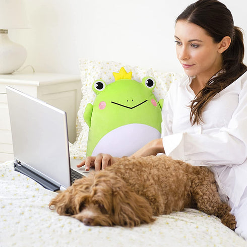 GAGAKU Frog Plush Pillow 15'' Frog Plushie Stuffed Animal Super Soft Animal Pillow Cute Frog Toy Gift for Boys Girls Adults Birthday Valentine's Day Gift