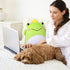 GAGAKU Frog Plush Pillow 15'' Frog Plushie Stuffed Animal Super Soft Animal Pillow Cute Frog Toy Gift for Boys Girls Adults Birthday Valentine's Day Gift