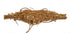 Kurt Adler 10 Light Indoor Rattan Gold Star Treetop