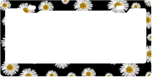 FunnyLpopoiamef Customized Personalized Stainless Steel License Plate Frame Holder, Decorative License Plate Frame White Daisy Black Background