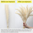 17.72" Dried White Pampas Grass 15 Pcs–•Brown Dried Flower 15 Pcs–•30 Pcs Natural Dried Reed, Natural Home Decor & Ideal for Flower Arrangements, Wedding Plants(60 Pcs)