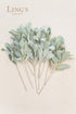 Ling's moment Artificial Flocked Lambs Ear Items ,10pcs Frosted Filler Leaves for Wedding Bouquet Centerpieces Floral Arrangement and Home Decor