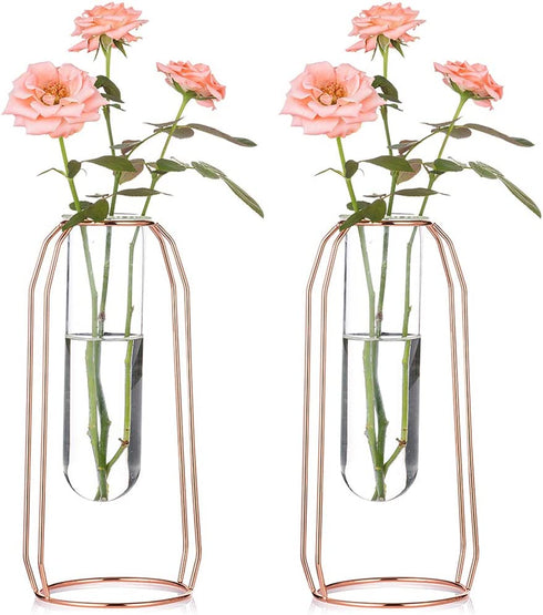 NUPTIO Vases Set of 2 Glass Vases with Metal Frame 23.5cm Height, Modern Rose Gold Frame Cylinder Clear Vase Planter Terrariums, Flower Holder Decorations for Wedding Living Room, Office, Party