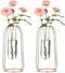 NUPTIO Vases Set of 2 Glass Vases with Metal Frame 23.5cm Height, Modern Rose Gold Frame Cylinder Clear Vase Planter Terrariums, Flower Holder Decorations for Wedding Living Room, Office, Party