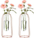 NUPTIO Vases Set of 2 Glass Vases with Metal Frame 23.5cm Height, Modern Rose Gold Frame Cylinder Clear Vase Planter Terrariums, Flower Holder Decorations for Wedding Living Room, Office, Party