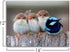 Purple Verbena Art Canvas Print Four Birds Pictures Landscape Animal Lovely Artwork HD Painting Artwork for Wall Decor Home Room Office Decoration 12x16 inches, Framed, Ready to Hang