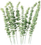 VANTREE 16"Tall Real Touch Artificial Eucalyptus Leaves Stems,10 PCS Eucalyptus Plant Faux Eucalyptus Stems,Dried Eucalyptus Vase Filler Leaf for Wedding Bouquet Centerpiece Home Farmhouse Party Decor