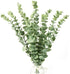 VANTREE 16"Tall Real Touch Artificial Eucalyptus Leaves Stems,10 PCS Eucalyptus Plant Faux Eucalyptus Stems,Dried Eucalyptus Vase Filler Leaf for Wedding Bouquet Centerpiece Home Farmhouse Party Decor