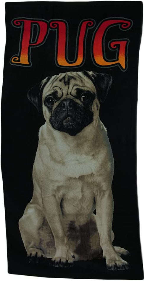 Zeckos White Pug Dog 30 x 60 inch Black Beach Towel