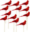 Cardinal Floral Picks - 5" Red Cardinals on 7" Wooden Sticks - Set of 12 Birds Attached to Stems - Red Birds Centerpieces - Christmas DIY - Ornament Holiday Décor.