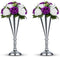 2 Pcs Tabletop Silver Metal Wedding Flower Trumpet Vase Table Decorative Centerpiece Artificial Flower Arrangements for Anniversary Ceremony Party Birthday Event Aisle Home Decoration (Silver)