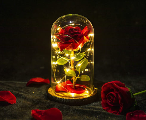 Beauty and The Beast Rose ,Red Silk Rose with Fallen Petals in Glass Dome on Wooden Base,Graduation Gift,Birthday Gifts?Valentine's Day ,Anniversary ,Christmas