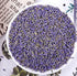 Lavender. Lavender Flowers. Dried Lavender. Lavender Sachet Bags?20p? Flowers Sachets Buds Bag Fragrance Air Fresher Car Home D©cor. Lavender Sachets for Drawers and Closets. Wedding Toss. 1 Pound