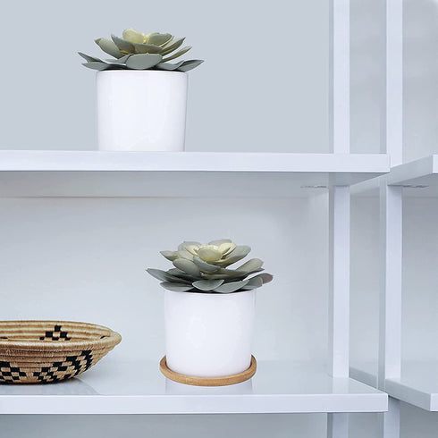 Hopewood Artificial Succulents in Pots,Large Succulents Plants Artificial with Bamboo Trays, 5.5" X 6" Fake Plants for Bedroom Decor, Set of 2