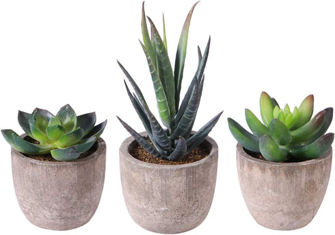 OUNONA 3pcs Faux Succulents/Artificial Cactus/Simulation Cacti Potted Plants Home Bonsai Decor Garden Greenery