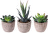 OUNONA 3pcs Faux Succulents/Artificial Cactus/Simulation Cacti Potted Plants Home Bonsai Decor Garden Greenery