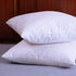 Set of 2, Cotton Fabric Two Pillow Inserts, Feather and Down Throw Pillow Inserts, Decorative Pillows Inserts, Have Many Different Sizes, Please Choose The Suitable Size Pillow Inserts, 18X18 Inches
