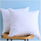 Set of 2, Cotton Fabric Two Pillow Inserts, Feather and Down Throw Pillow Inserts, Decorative Pillows Inserts, Have Many Different Sizes, Please Choose The Suitable Size Pillow Inserts, 18X18 Inches