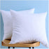 Set of 2, Cotton Fabric Two Pillow Inserts, Feather and Down Throw Pillow Inserts, Decorative Pillows Inserts, Have Many Different Sizes, Please Choose The Suitable Size Pillow Inserts, 18X18 Inches