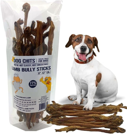 Dog Chits Lamb Pizzle (Lamb Bully Sticks) for Dogs and Puppies | 8-12-inch | All Natural Treats | Tasty Chew for Large and Small Dogs | Grass Fed Lamb | Low Odor | 8 oz (12 Pieces+)