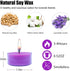 Soy Tealight Candles Natural Soy Wax Lavender Scented Tea Lights, 12 Packs Bulk Mini Purple Colored Tea Lite Candles in Clear Cups