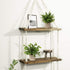 Artificial Mini Potted Plants Plastic Fake Green Plant Small Faux Plants in Pots for Home Table Office Desk Room Bathroom House Decor