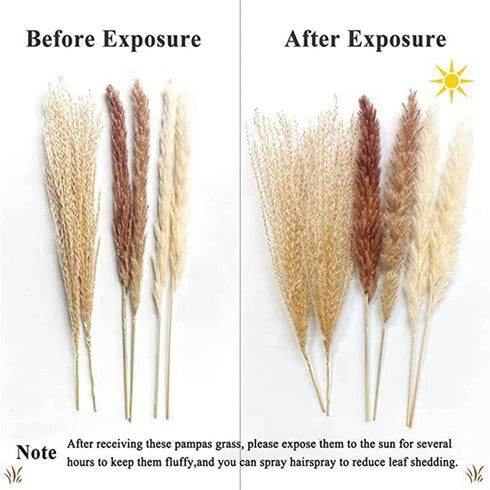 Jethami 60pcs Dried Pampas Grass, Tall Pompous Grass Large Fluffy Pampas Grass Small Pompass Branches Bouquet Pampass Bundle Pompas Floral Boho Decor