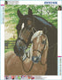 5D DIY Diamond Painting Kit, ZSNUOK 5D Diamond Art Kit Full Round Drill for Adults or Kids, Embroidery Dotz Kits Arts Craft Mosaic Making Cross Stitch for Home Wall Decor Two Horses 12x16 inches