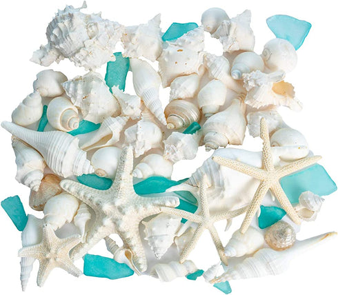 Nautical Crush Trading Sea Shells | Real Mixed Beach Seashells with Real Starfish & Caribbean Blue Sea Glass | White Decorative Seashell D©cor & Blue Seaglass Pieces | Seashell Wedding (1 Pack)