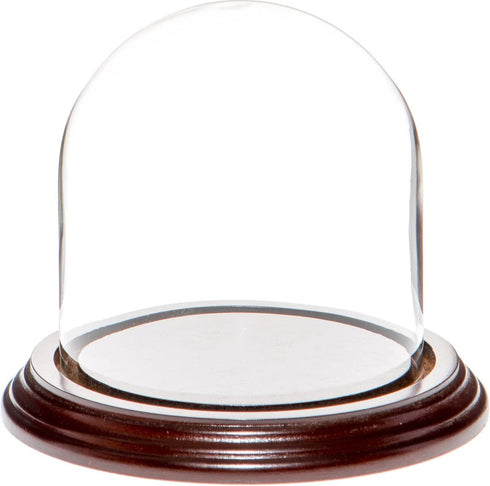 Plymor 4" x 4" Glass Display Dome Cloche (Dark Mahogany Veneer Base)