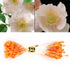 1800Pcs Flower Stamen, 1mm Matt Pearl Double Heads Flower Stamens Mix Color Flower Pistils Headwear Accessories