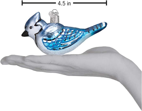 Old World Christmas 16121 Bird Watcher Collection Glass Blown Ornaments for Christmas Tree Bright Blue Jay 2.0