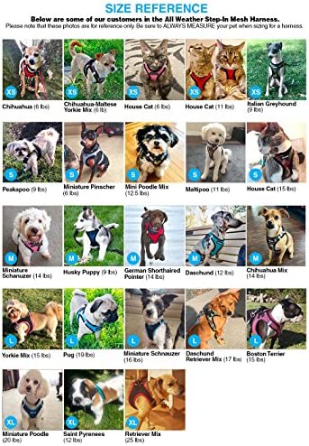 Voyager Step-In Air Dog Harness - All Weather Mesh Step in Vest Harness for Small and Medium Dogs by Best Pet Supplies - Pink Base, M