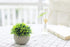 THE BLOOM TIMES 2 Pcs Fake Plants for Bathroom/Home Office Decor, Small Artificial Faux Greenery for House Decorations (Potted Plants)